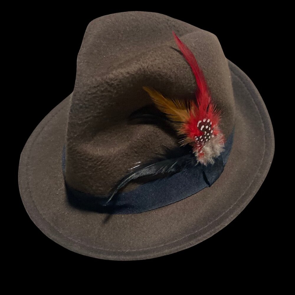 Brown Fedora with colorful feathers